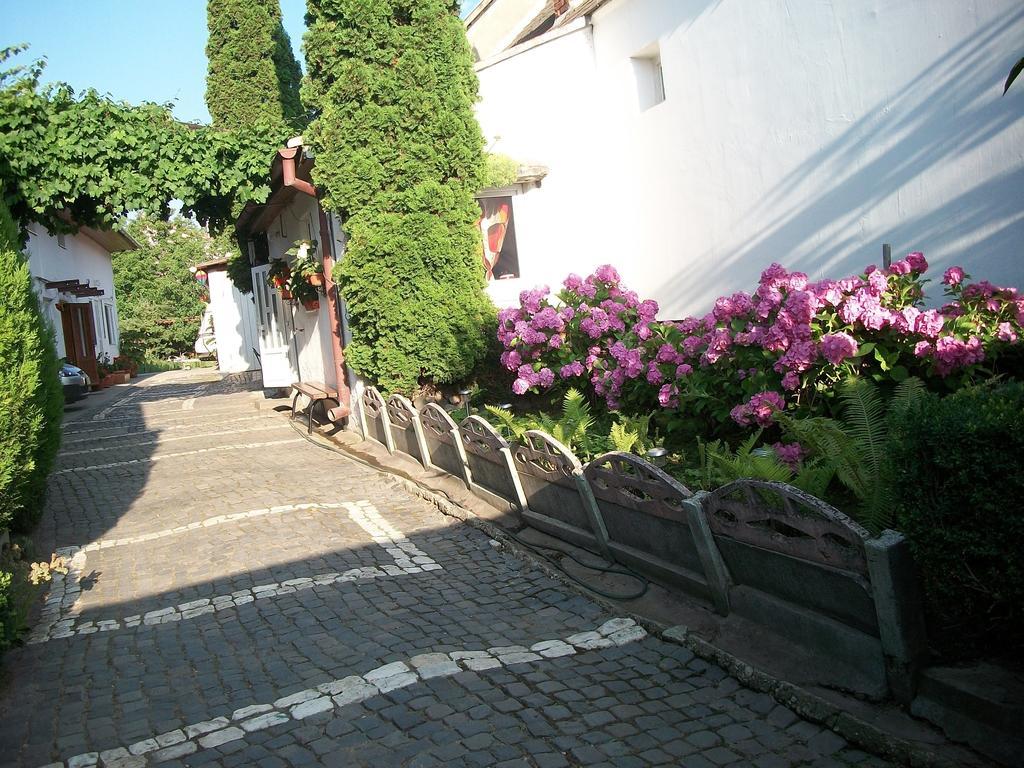 Casa Sara Hotel Săcele Eksteriør billede
